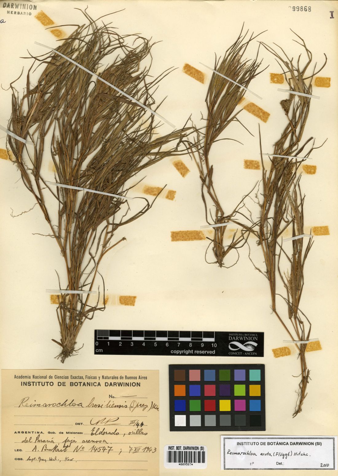 Instituto de Botánica Darwinion