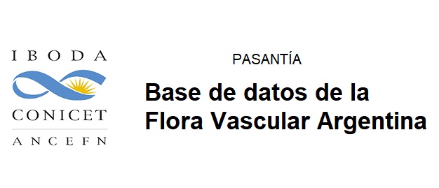 imagen de PASANTÍA: CONVOCATORIA CERRADA. Directora Dra. Silvia S. Denham (sdenham@gmail.com)