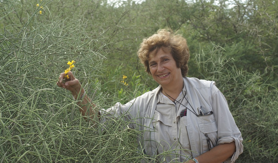El Consejo Nacional de Investigaciones Científicas y Técnicas (CONICET) nombró a la Ing. Agr. Dra. Renée H. Fortunato como nueva Directora del Instituto de Botánica Darwinion