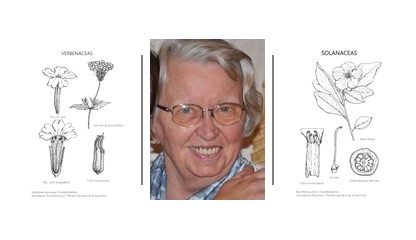 Alda, una gran ilustradora de la Flora Nativa