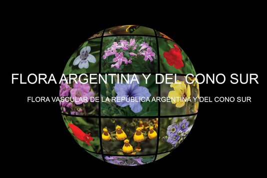 Flora Argentina - Procedimiento para la compra y precios