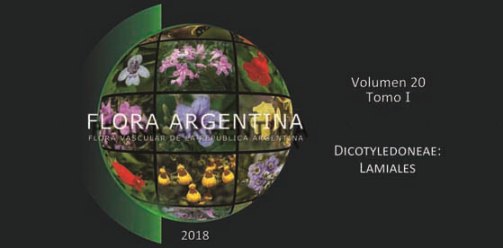 Flora Argentina-Lamiales